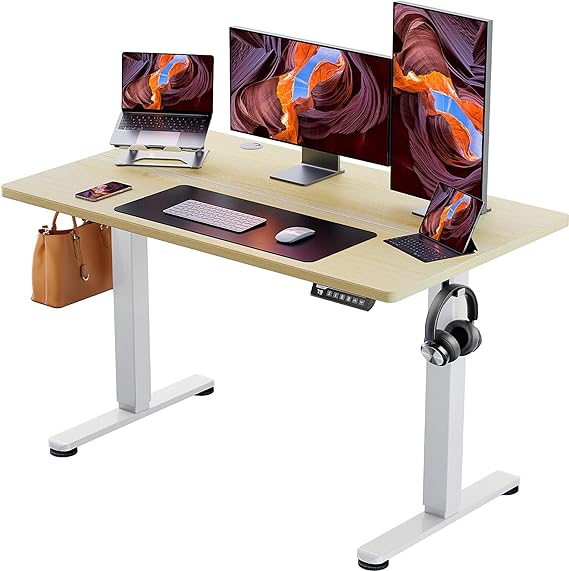 Height Adjustable Electric Standing Desk