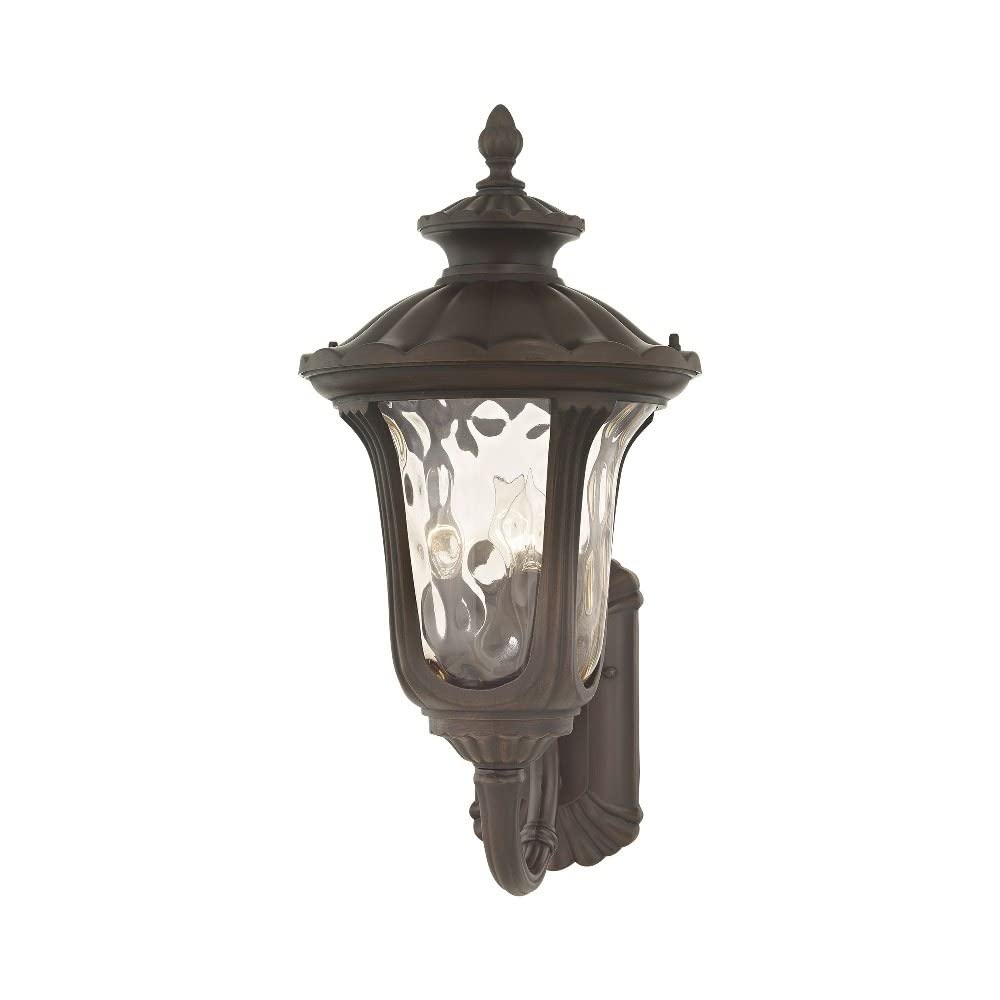 Lighting 7656-58 Outdoor Wall Lantern with Hand Blown Light Amber Water Glass Shades