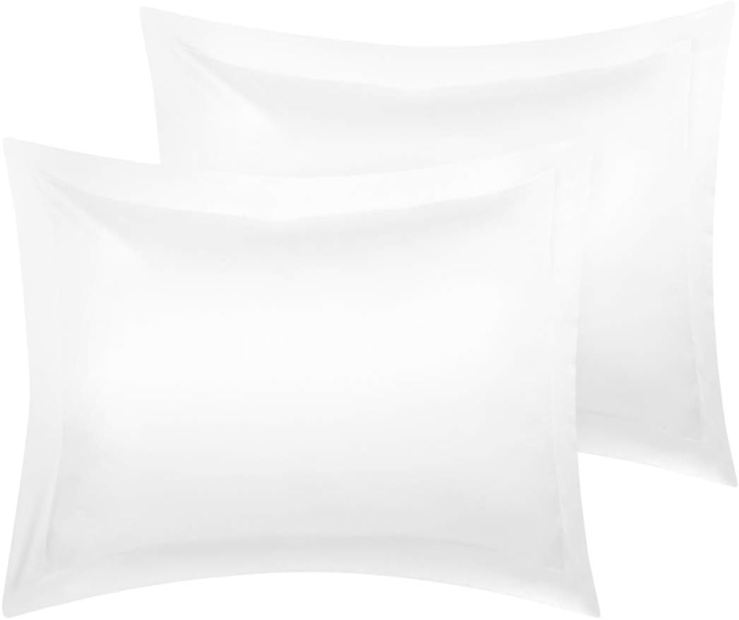 2 Pack Satin Pillowcase for Hair and Skin, Euro Sham Pillow