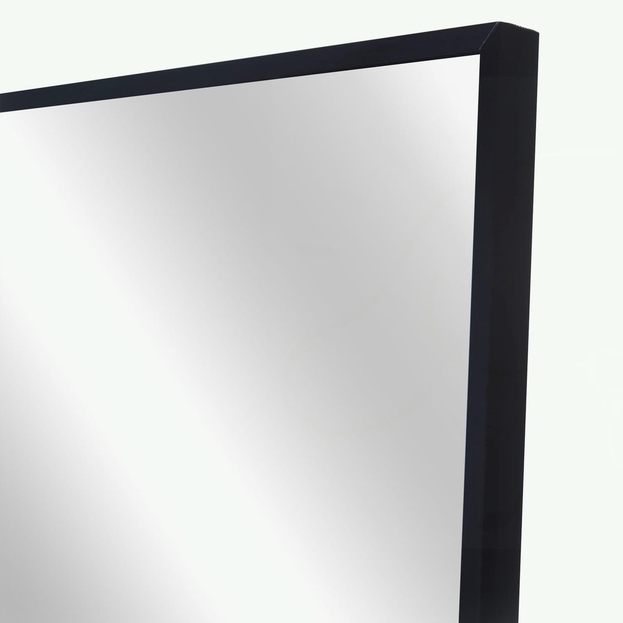 Full Length Mirror Standing Gold Black