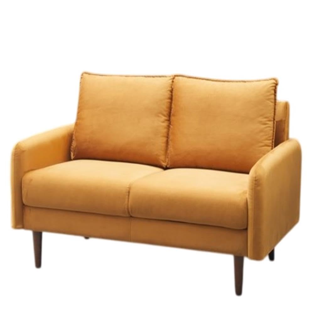 Hambrok Velvet Living Room Loveseat in Ginger