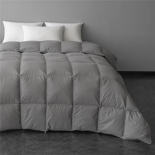 Down Comforter Fluffy Duvet Insert Queen Size, All Season Ultra-Soft Hotel Quality