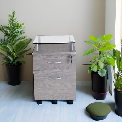 2-Drawer Rolling File Cabinet with Lock and Glass Top, Under Desk File Cabinet