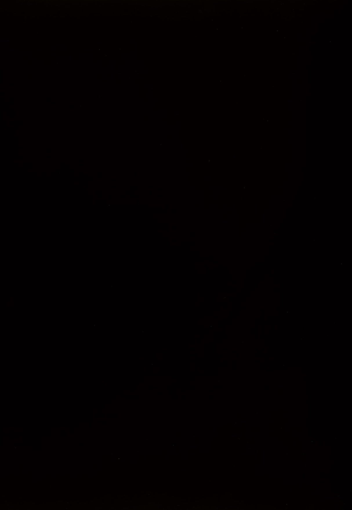 Kimonte Rectangular Dining Table - Contemporary Black Wood