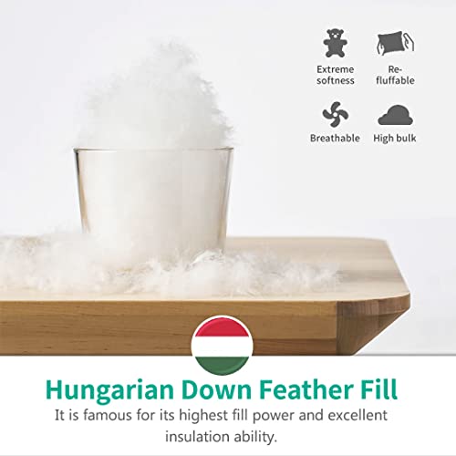 APSMILE Heavyweight Full/Queen Feathers Down Comforter for Colder Weather/Sleeper, Ultra-Soft Hotel Collection Down Duvet Insert, 46oz Fluffy Thick Winter Down Comforter(90x90, White)