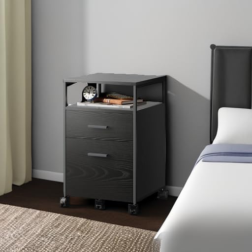 2 Drawer File Cabinet, Mobile Printer Stand with Open Storage Shelf