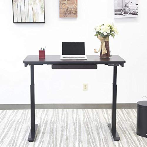 Electric Standing Desk, 24”x48 Home Office Series, 28"-48" with Quickly Program up