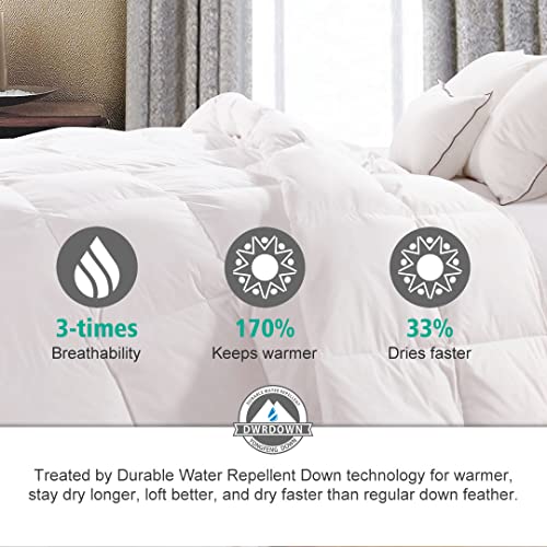 APSMILE Heavyweight Full/Queen Feathers Down Comforter for Colder Weather/Sleeper, Ultra-Soft Hotel Collection Down Duvet Insert, 46oz Fluffy Thick Winter Down Comforter(90x90, White)