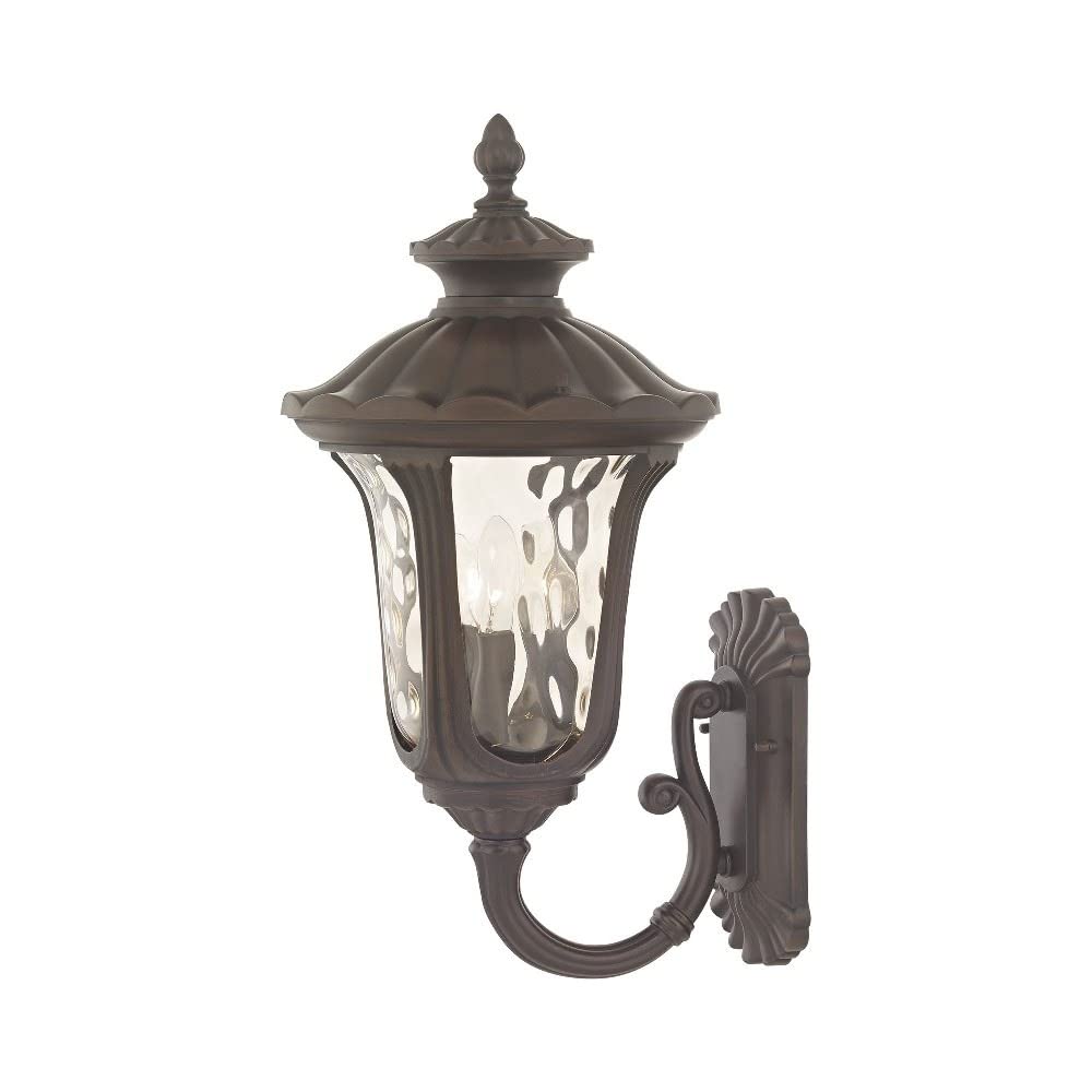 Lighting 7656-58 Outdoor Wall Lantern with Hand Blown Light Amber Water Glass Shades