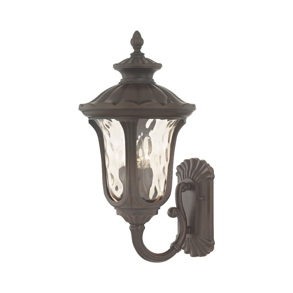 Lighting 7656-58 Outdoor Wall Lantern with Hand Blown Light Amber Water Glass Shades