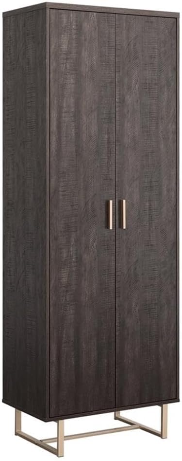 Walter Heights Engineered Wood Storage Cabinet in Blade Walnut
