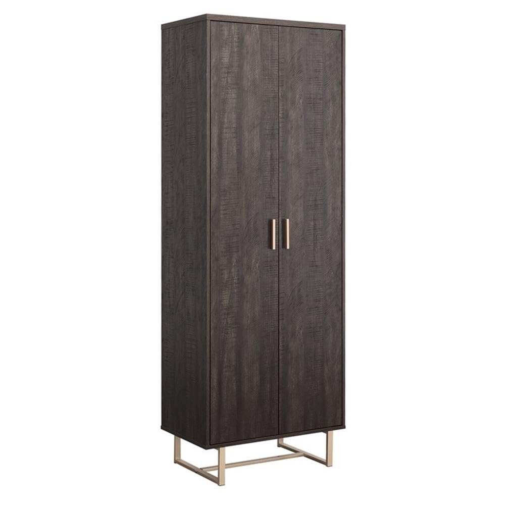 Walter Heights Engineered Wood Storage Cabinet in Blade Walnut