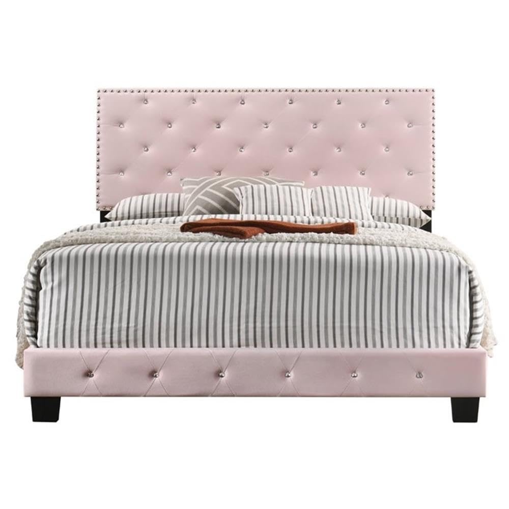 Suffolk Velvet Upholstered Queen Bed in Pink