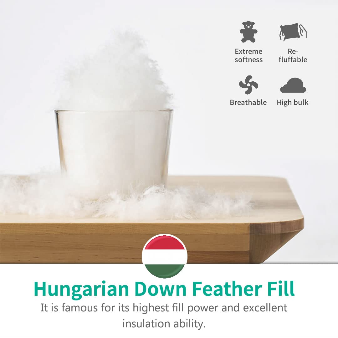 APSMILE Heavyweight Full/Queen Feathers Down Comforter for Colder Weather/Sleeper, Ultra-Soft Hotel Collection Down Duvet Insert, 46oz Fluffy Thick Winter Down Comforter(90x90, White)