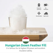 APSMILE Heavyweight Full/Queen Feathers Down Comforter for Colder Weather/Sleeper, Ultra-Soft Hotel Collection Down Duvet Insert, 46oz Fluffy Thick Winter Down Comforter(90x90, White)