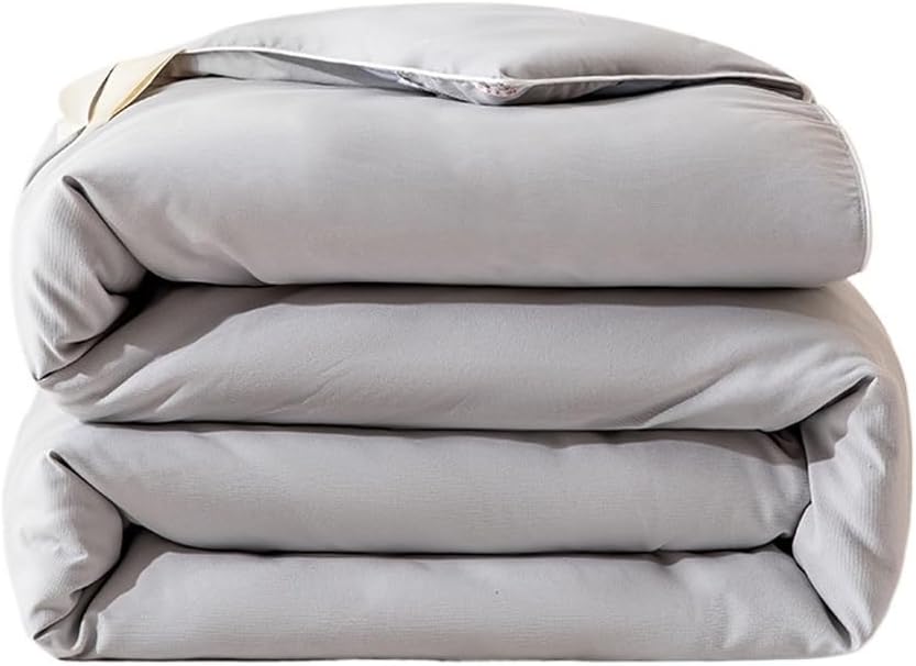 Warm Comforter Comfortable Silk All Quilts with Spring and Autumn Quilt Core Comforter Core(3KG)