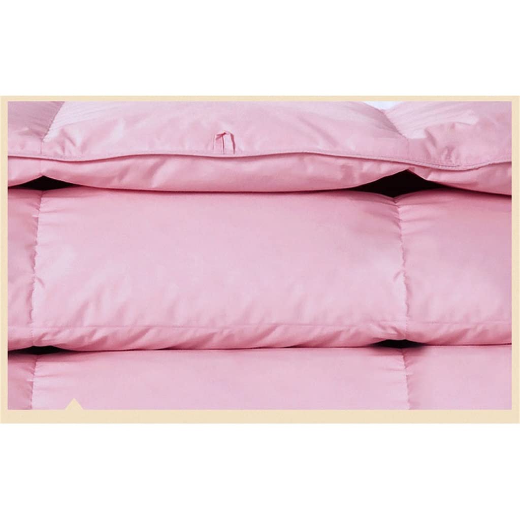 White Goose Down Filler/Filling Queen Size Cotton Thickening and Warming Four Seasons