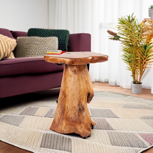 Tree Stump End Table Live Edge Plant Stand 14"x13"x18"H Solid Cedar Wood Outdoor Rustic