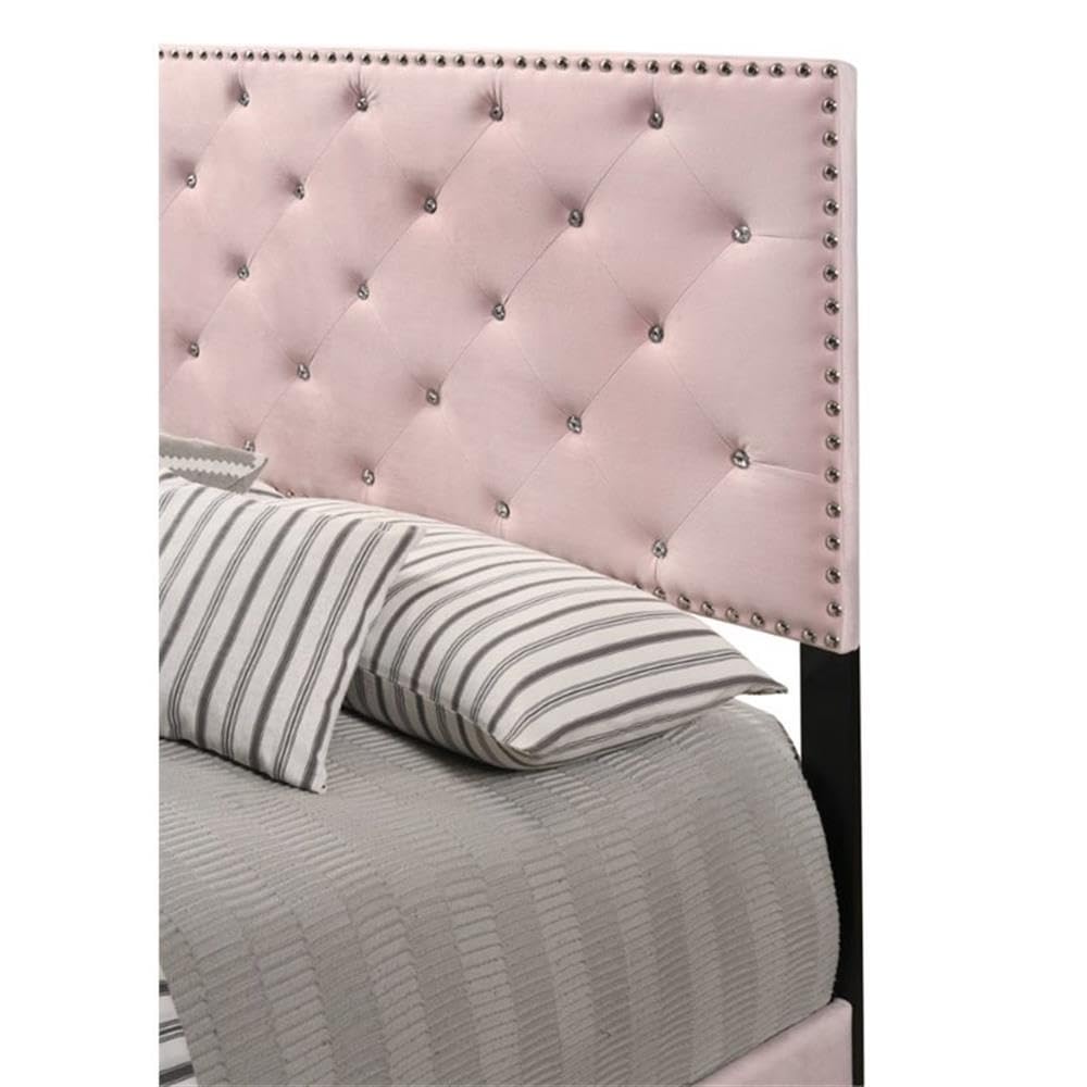 Suffolk Velvet Upholstered Queen Bed in Pink
