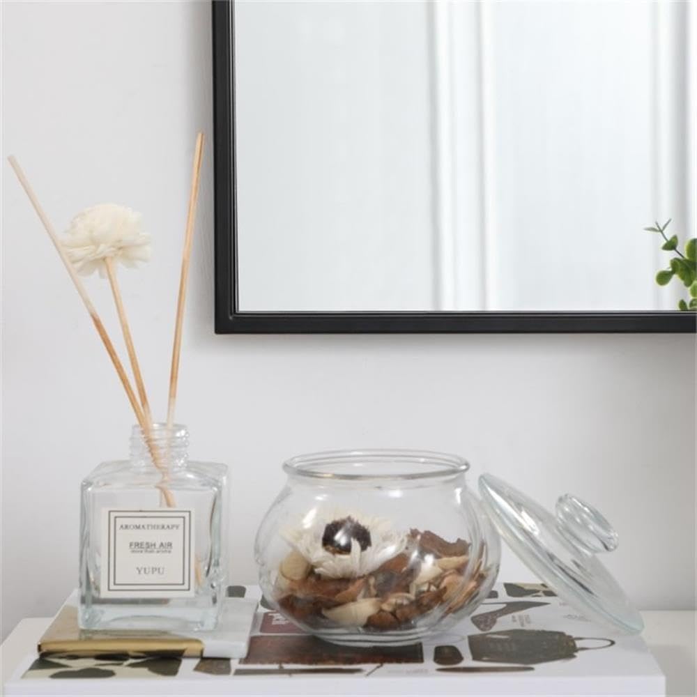 Modern 36" x 20" Contemporary Metal Frame Mirror in Black