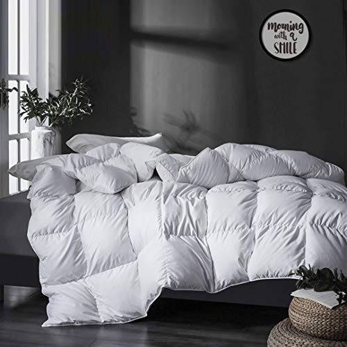APSMILE Heavyweight Full/Queen Feathers Down Comforter for Colder Weather/Sleeper, Ultra-Soft Hotel Collection Down Duvet Insert, 46oz Fluffy Thick Winter Down Comforter(90x90, White)