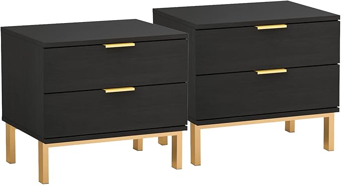 Modern Nightstand with 2 Storage Drawers