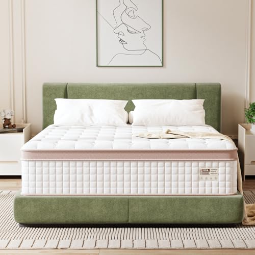 Queen Mattress 14 Inch - Premium Hybrid Mattress In a Box for Back & Lumbar Support