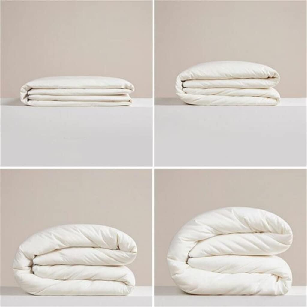 Cotton Fiber Quilt Spring and Autumn Quilt Warm Quilt Thick Winter Quilt Core