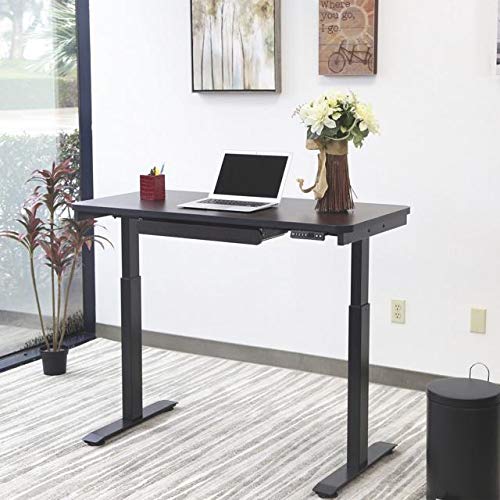 Electric Standing Desk, 24”x48 Home Office Series, 28"-48" with Quickly Program up