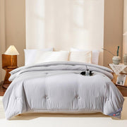 Warm Comforter Comfortable Silk All Quilts with Spring and Autumn Quilt Core Comforter Core(3KG)