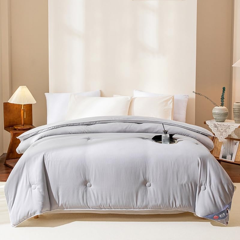 Warm Comforter Comfortable Silk All Quilts with Spring and Autumn Quilt Core Comforter Core(3KG)