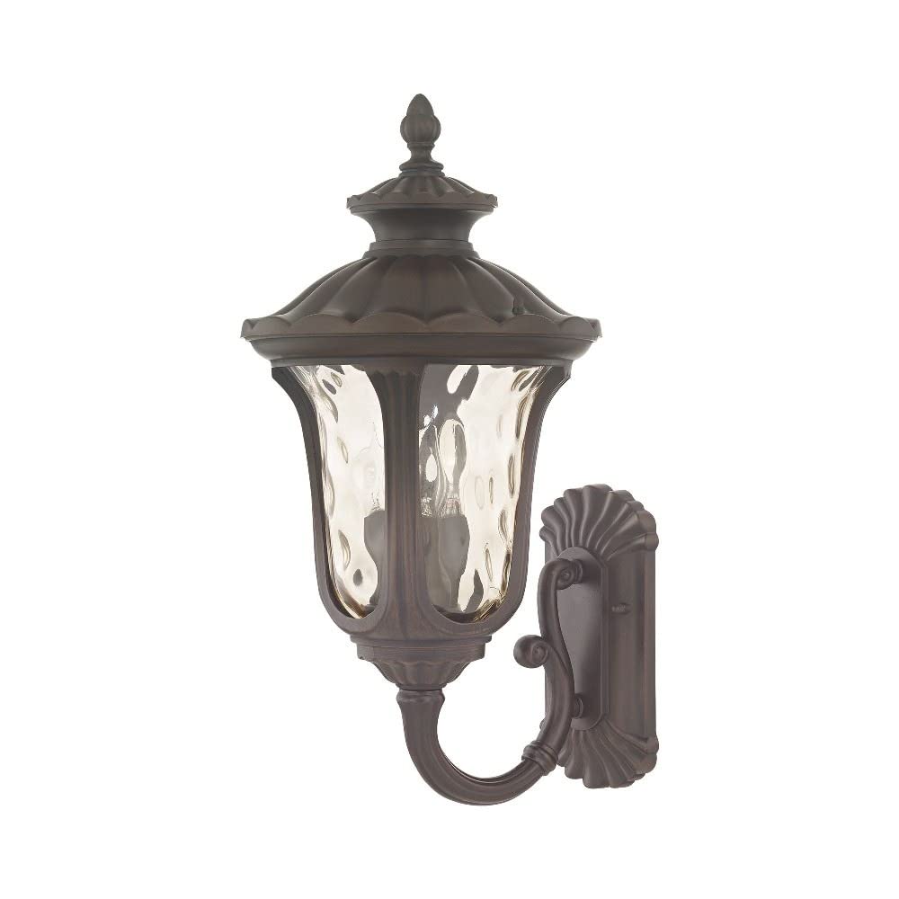 Lighting 7656-58 Outdoor Wall Lantern with Hand Blown Light Amber Water Glass Shades