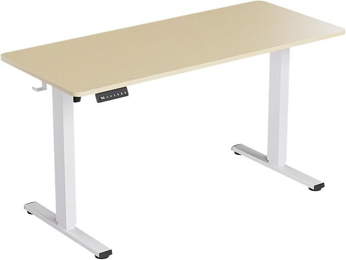 Motorized Standing Desks, Electric Stand Up Desk with Ultra Stable Construction and Cable Management,Adjustable Height Desk with Memory Preset Design for Home Office Use 48x24 in Black