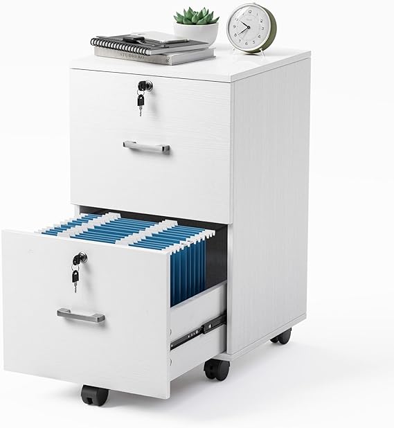 2 Drawer File Cabinet with Lock, Wood Rustic Gray File Cabinet