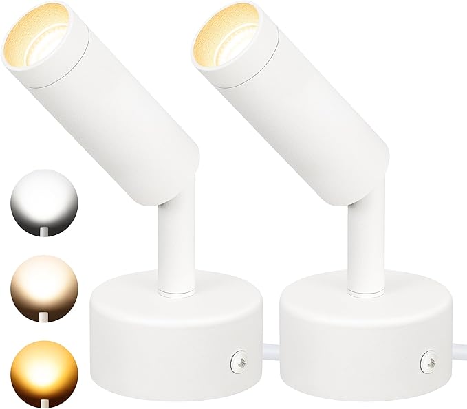 2 Pack LED Spot Lights 3000K/4000K/5000K Adjustable Dimmable Floor Spotlight