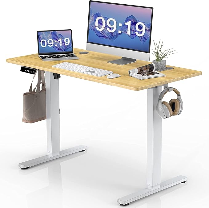 Standing Desk, 48 x 24 in Electric Height Adjustable Computer Desk for Home Office