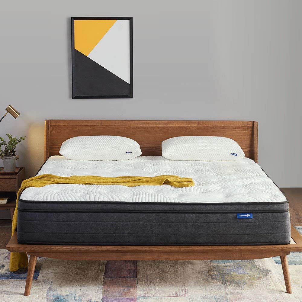 Queen Mattress in a Box - 12 Inch Plush Pillow Top Hybrid Mattress