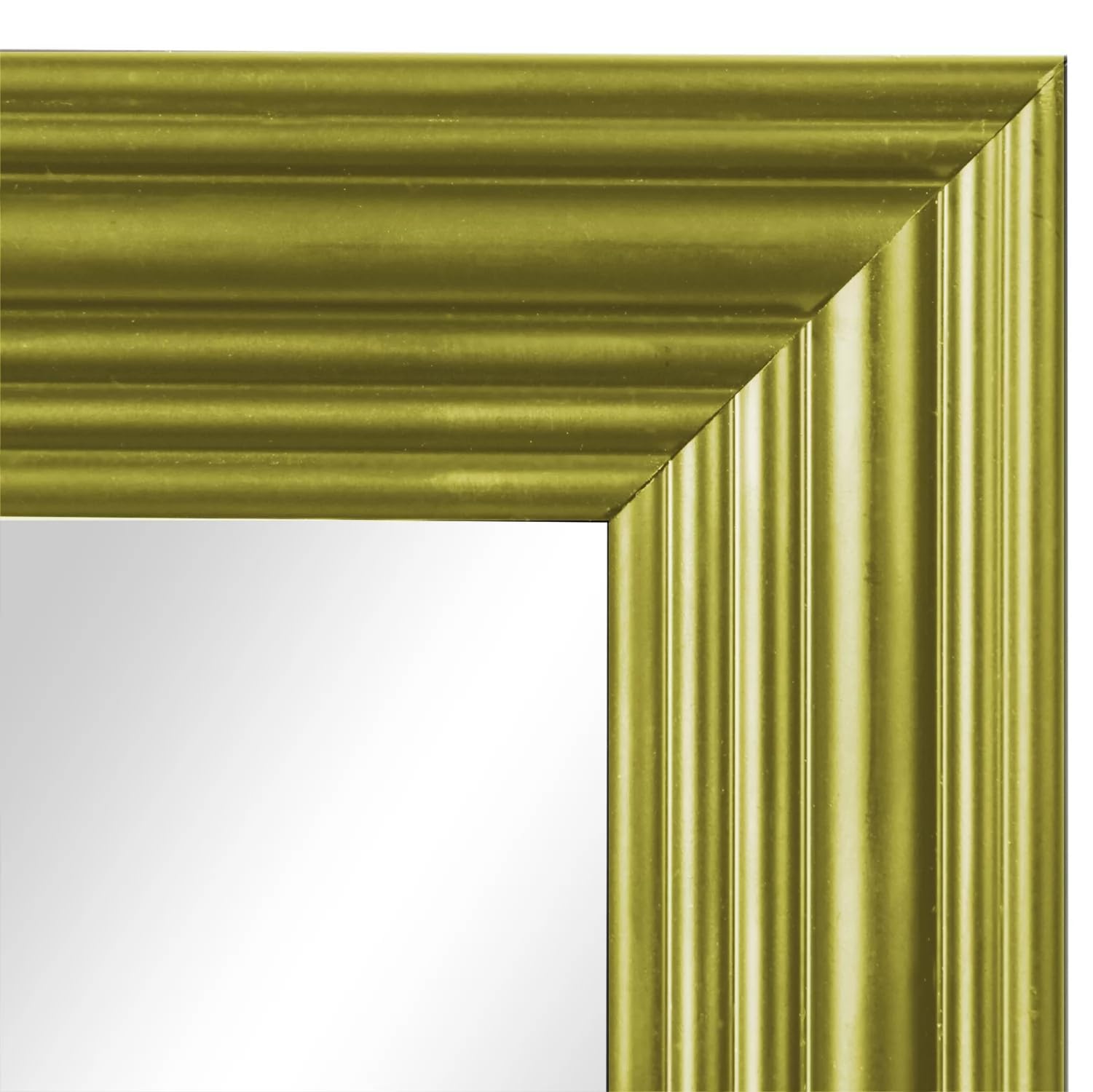 13x49 Rectangular Full-Length Mirror (Gold) The Door Full Body Wall Mirror