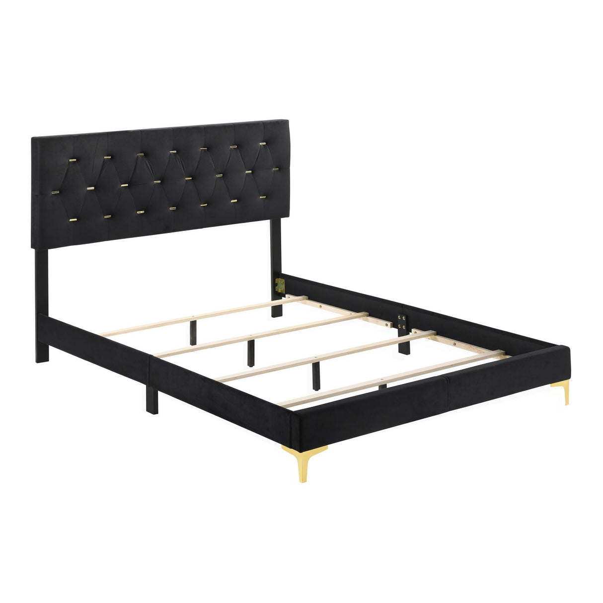 Lif Platform King Size Bed, Panel Tufted Headboard, Velvet, Black and Gold