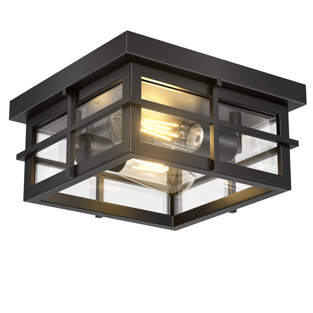 Outdoor Ceiling Light Fixtures, 2-Light Black Flush Mount Light Fixtures with Clear Glass S