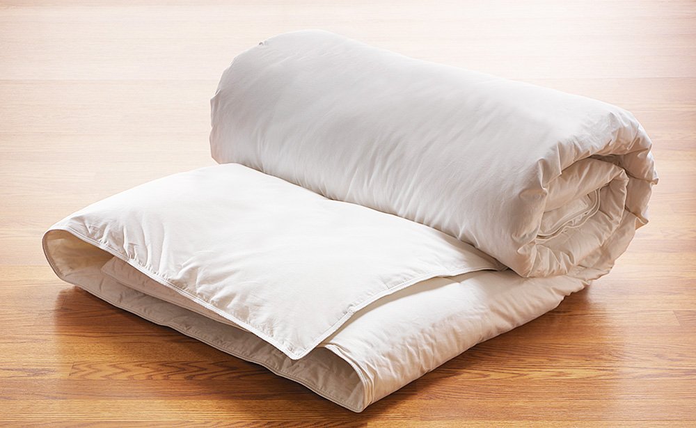 Organic Goose Down Alternative Comforter, Eco-Friendly, Non-Toxic White (King
