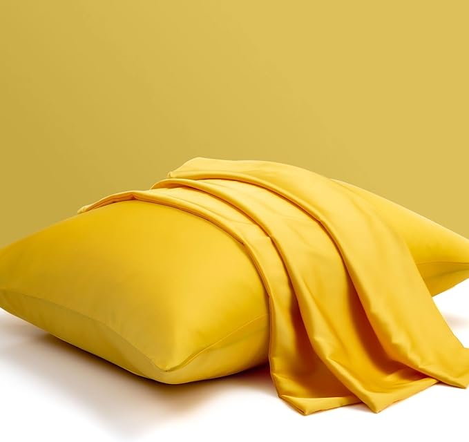 100% Mulberry Silk Pillowcase Set of 2, Queen Size Silk Pillow