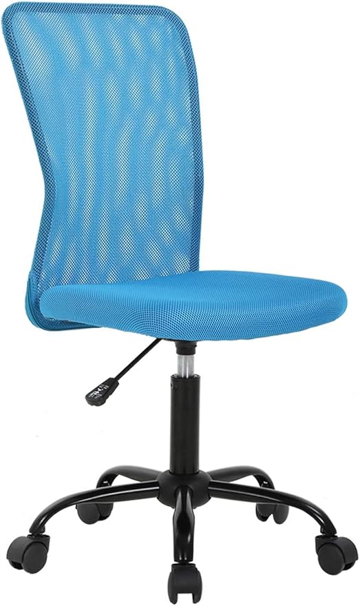 Ergonomic Office Chair Desk Chair Mesh Computer Chair Armless Back Support