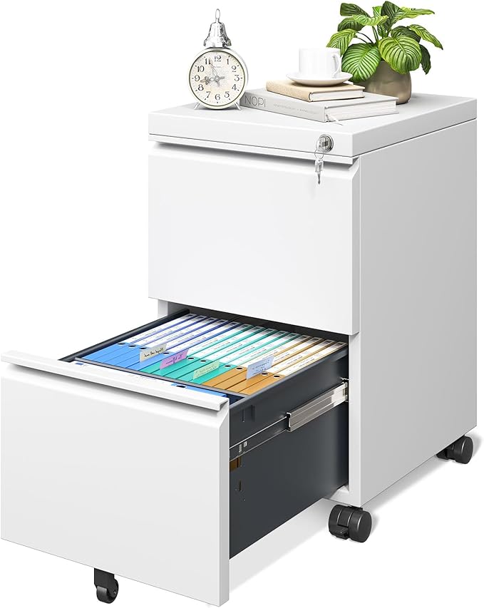 File Cabinet for Home Office, Fully Assembled Filing Cabinet 2 Drawer Rolling File