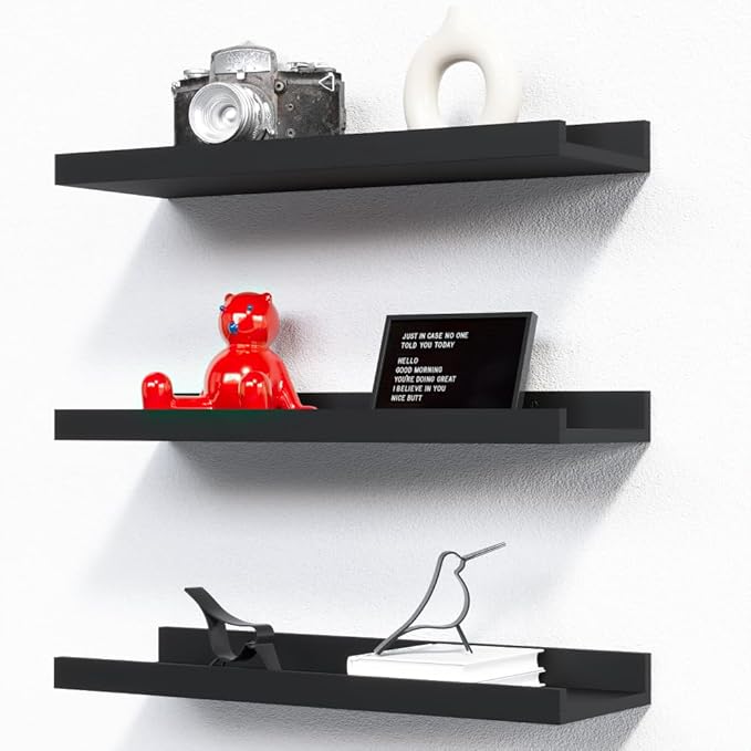 Floating Wall Mounted Shelves, 8pc Set with Lip - Black Nursery Book Shelves for Bedroom