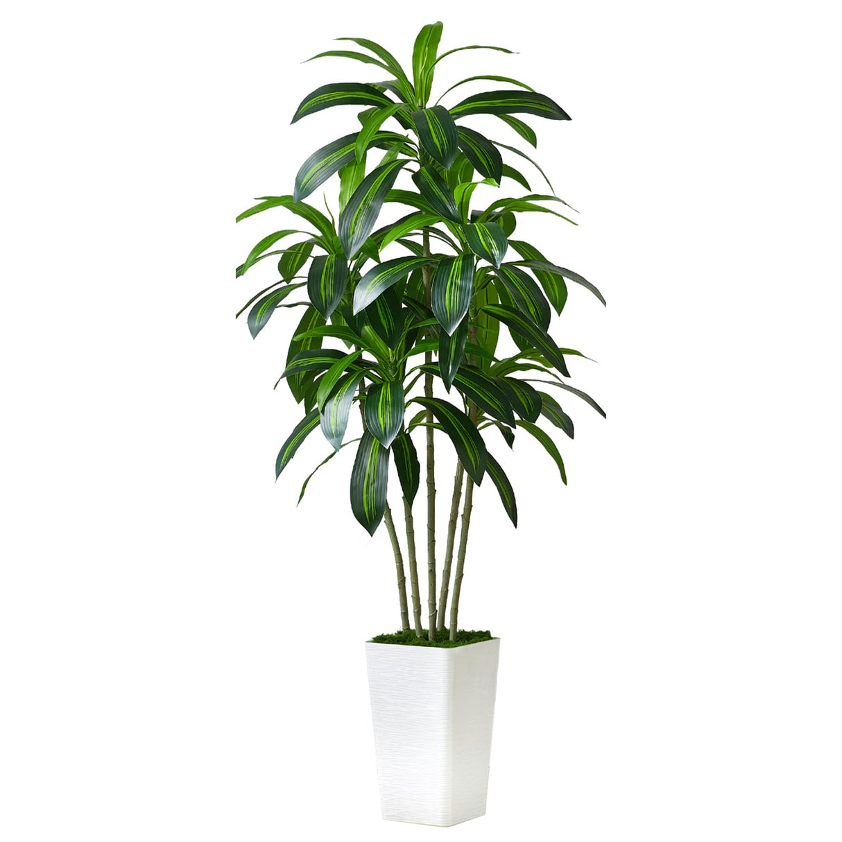 Dracaena Tree Artificial Silk Tree Faux Tree with White Tall Planter Fake Tropical Yucca