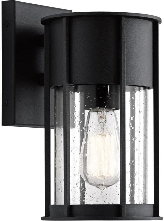 Camillo 15 Inch 1 Light Wall Light with Clear Seeded Glass in Black