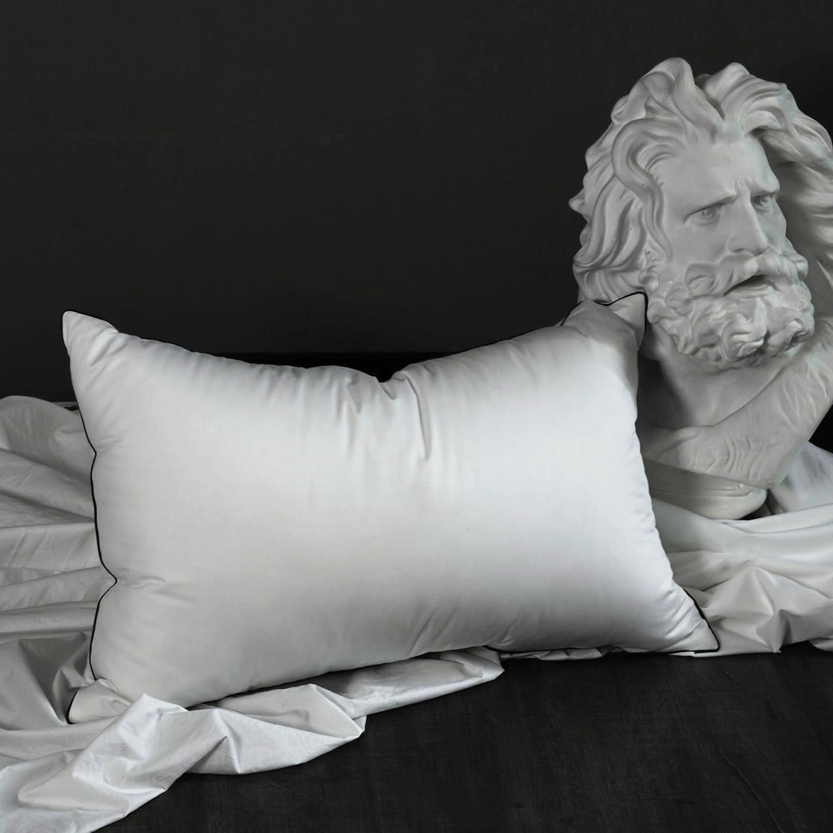 Premium White Down Pillow King Size - 550+ Fill Power Down Pillows