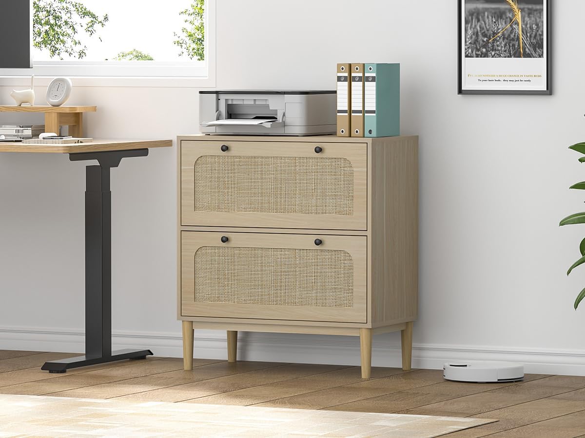 Lateral File Cabinet with 2 Drawers, Rattan Filing Cabinet