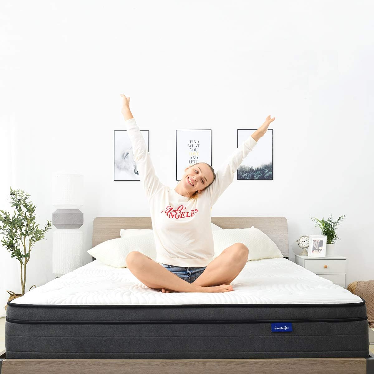 Queen Mattress in a Box - 12 Inch Plush Pillow Top Hybrid Mattress